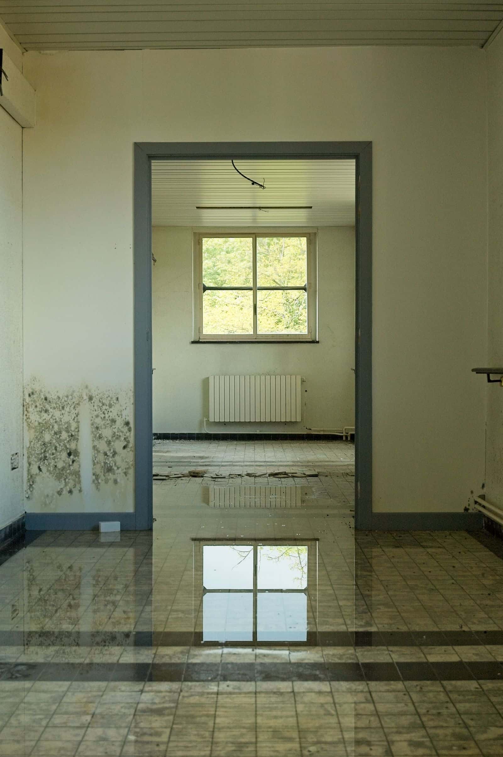 Room with standing water across the floor after a leak